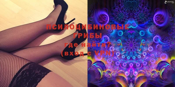 ПСИЛОЦИБИНОВЫЕ ГРИБЫ Алексеевка